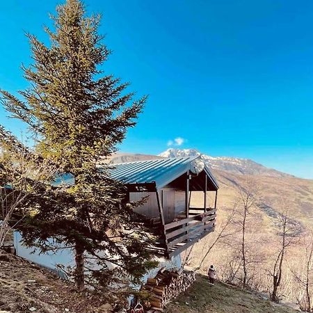 Chalet Au Pla D'Adet سانت لاري سولون المظهر الخارجي الصورة